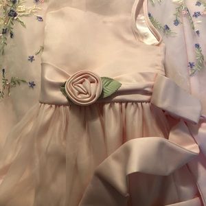 Gorgeous never worn Van Maur dress size 12 Cinderella dress
